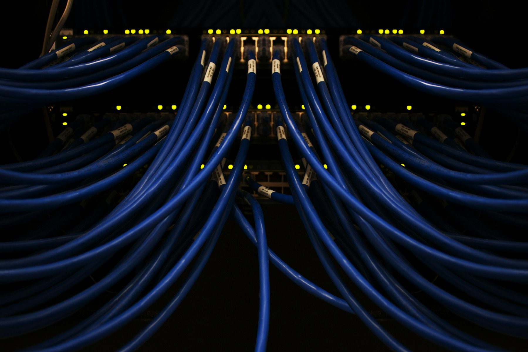 Bundle of blue network cables connected to a patch panel